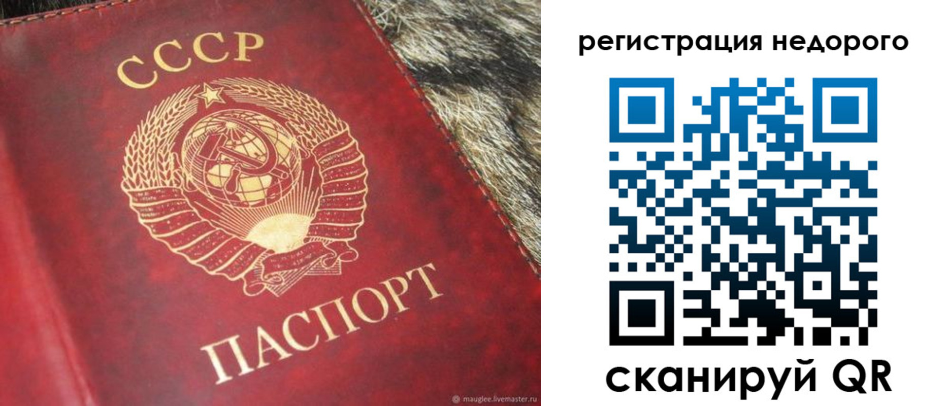 прописка ребенка в Волоколамске